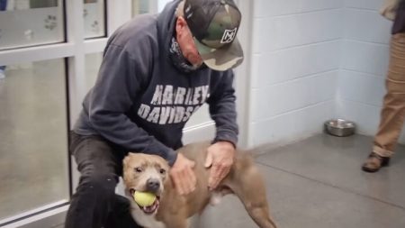 Conmovedor reencuentro de un hombre y su perro que se había perdido por casi 6 meses