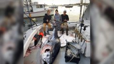 Pescadores adolescentes atrapan a un atún de aleta azul de 10 pies que pesa más de 1000 libras