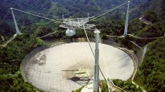 Desmantelan el radiotelescopio de Arecibo en Puerto Rico por riesgo de colapso