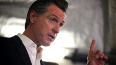 FBI dice que sospechoso de la bomba de tubo pudo querer apuntar a Newsom, Facebook y Twitter