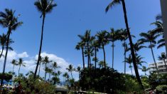 Al menos 7 legisladores de California vuelan a Hawái para una conferencia durante la pandemia