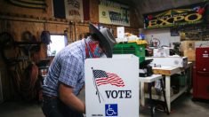 Iowa: Auditoría descubre 217 votos sin contar que pone en ventaja a candidata republicana al Congreso