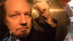 Gabbard pide a Trump que indulte a Snowden y Assange