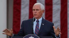 Pence hará campaña en Georgia con los senadores republicanos que se enfrentan a la segunda vuelta