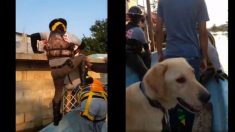 Intrépido rescatista mexicano salva perritos en medio de inundaciones: “No le tiene miedo a nada”