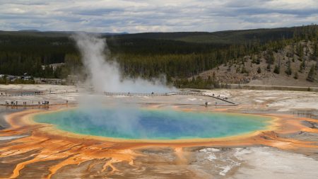 Arrestan a 3 hombres por tratar de cocinar 2 pollos en fuente termal del Parque Nacional Yellowstone