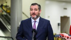 Ted Cruz pide que se investigue el software de las máquinas de conteo de votos
