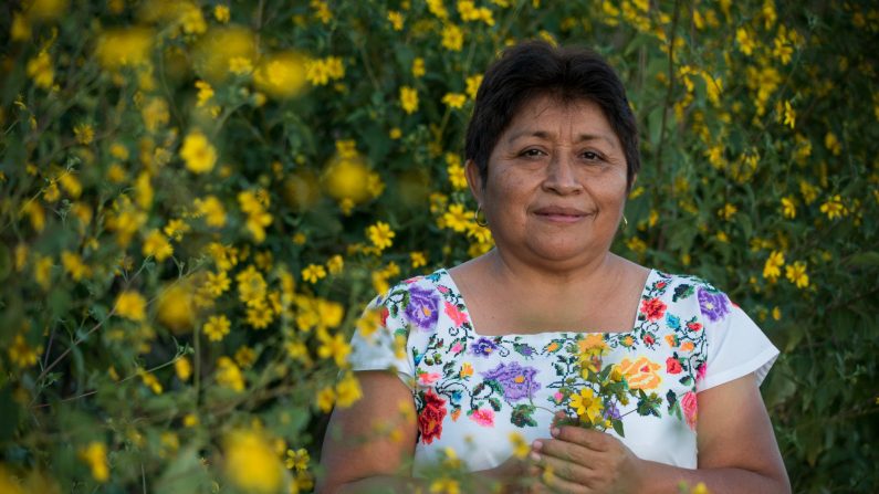 Leydy Pech, ganadora del premio ambiental Goldman 2020, rodeada de "flor tajoral" una fuente de nectar para las abejas de la región (Cortesía: Goldman Environmental Prize)