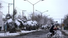 Tormentas invernales dejan nevadas en el norte de México