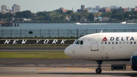 Pasajero de Delta saltó de avión en movimiento con un perro; iba presuntamente a perder el control