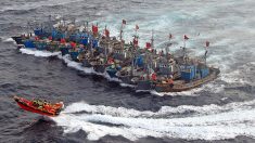 Naves chinas señaladas por pesca ilegal navegan por mar patrimonial de Chile