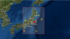 Terremoto de magnitud 5.1 sacude el noreste de Tokio sin alerta de tsunami