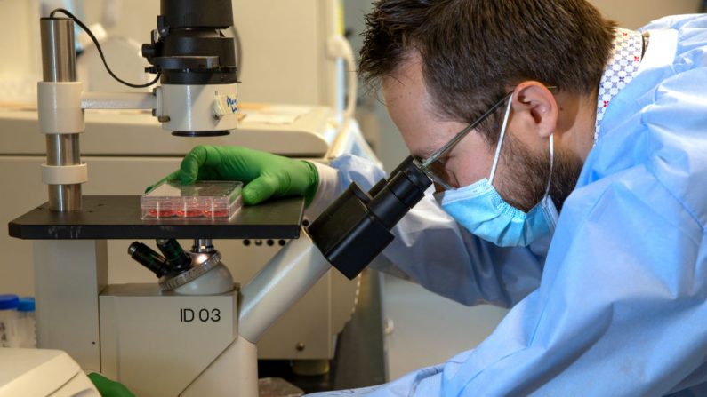 Un doctor revisa una muestra de suero que diluyó bajo un microscopio en un laboratorio de microbiología en la Facultad de Medicina de la Universidad de Washington el 11 de diciembre de 2020 en Seattle, Washington (EE.UU.). (Karen Ducey / Getty Images)