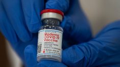Moderna inicia la fase final de pruebas de vacuna contra covid-19 en niños