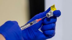 Vacuna de Moderna se distribuirá a todo EE.UU. desde el lunes y su aplicación comenzará enseguida