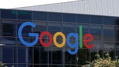 Empleados de Google en todo el mundo forman una alianza sindical global