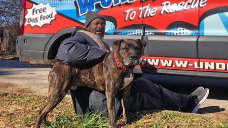 Hombre sin hogar arriesga su vida para salvar 6 perros y 10 gatos de incendio en refugio de animales