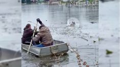 Un grupo de buenas personas rescata a una joven cierva de un lago helado con un bote de remos