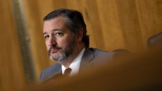 Cruz expresa decepción porque SCOTUS se negó a escuchar apelación de las elecciones de Pensilvania