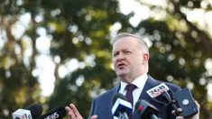 Ministro Adjunto: Australia no restablecerá su relación con China pese a la visita del primer ministro