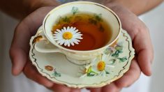 10 Tipos de té útiles durante la temporada de resfríos y gripe