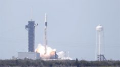 La nueva cápsula de carga de SpaceX viaja ya por el espacio hacia la EEI