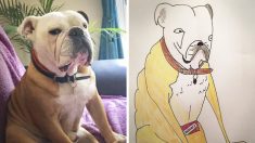 Hombre publica en Internet divertidos retratos de mascotas y recauda más de USD 6000 para la caridad