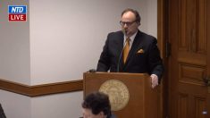Georgia: Subcomité del Senado solicita auditoría forense de boletas de voto ausente del condado de Fulton