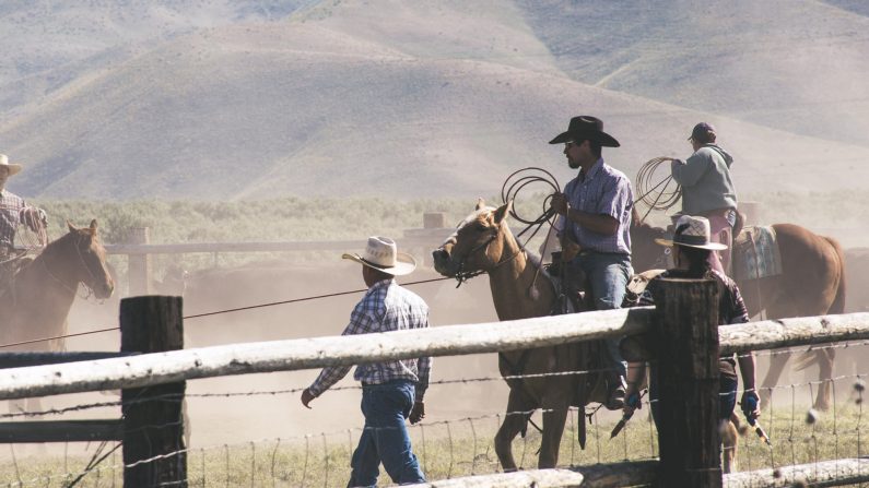 Jim Owen, el autor de "Cowboy Ethics", señaló los fundamentos que sustentan el código de modales en el Viejo Oeste. Eran tan sencillos como trabajar duro, distinguir el bien del mal y seguir la Regla de Oro. (Brett_Sayles/Pexels)