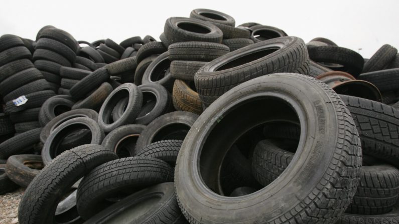 Los neumáticos de coche desechados yacen en un depósito de coches destrozados y abandonados en Schopsdorf, Alemania, el 9 de marzo de 2007. (Sean Gallup/Getty Images)