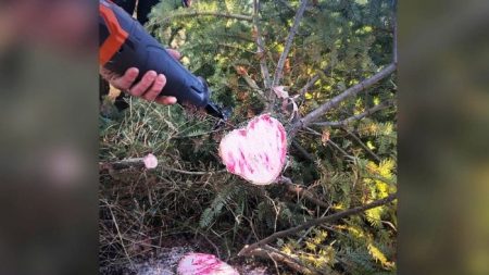 Mujer fallecida envía «señal» a esposo vivo con un tronco de árbol de Navidad en forma de corazón