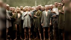 Fotógrafo colorea las fotos del Holocausto dándoles vida: “Para que esto no vuelva a suceder”