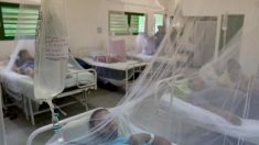 Paraguay registra su primera muerte por dengue de 2021