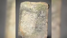 Mujer descubre que «escalón» de su jardín en realidad es antigua roca romana avaluada en USD 20,000