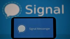 Signal y Telegram se convierten en las apps más descargadas tras la nueva política de WhatsApp