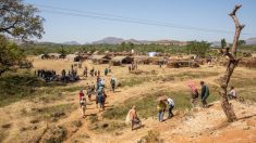 Más de 80 muertos en nueva masacre en Etiopía