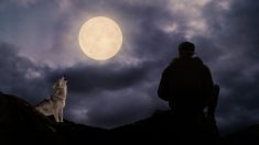 La “Luna de Lobo” resplandecerá el 28 de enero en el cielo nocturno, esto es lo que debe saber
