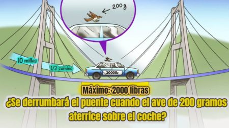 ¿Se derrumbaría un puente con un límite de 2000 libras si un ave se posara sobre el coche?