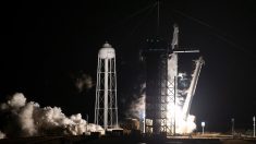 SpaceX lanza un satélite turco de comunicaciones en su primera misión de 2021