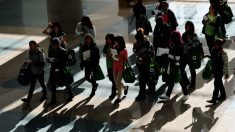 Universidad de Georgia relanza programa para reclutar estudiantes hispanos