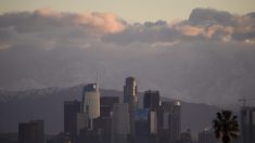 Condado de Los Ángeles es demandado por moratoria de desalojo comercial