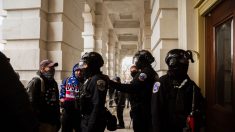 Senado anuncia investigación bipartidista por «fallas de seguridad» en irrupción al Capitolio