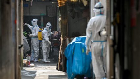 Beijing vuelve a sugerir que EE.UU. es culpable de pandemia, mientras OMS investiga origen del virus