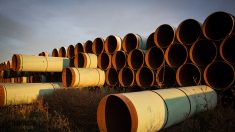 Promotor del oleoducto Keystone XL pide a EEUU 15,000 millones de dólares por daños y perjuicios