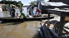 Ocho muertos y 15,593 familias afectadas por las lluvias en Bolivia