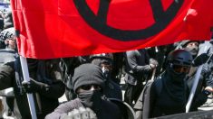 Policía de Washington desmantela campamento de indigentes luego que Antifa convocara a detener desalojo