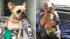 Encuentran en la basura a un perro que había desaparecido 8 meses antes y lo devuelven a su familia