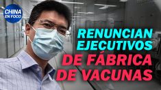 China en Foco: Renuncian altos ejecutivos de fábrica de vacunas chinas. Youtuber se arrodilla ante China