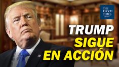 Al Descubierto: Trump crea “Oficina del Expresidente”; 45 senadores creen inconstitucional el impeachment a Trump