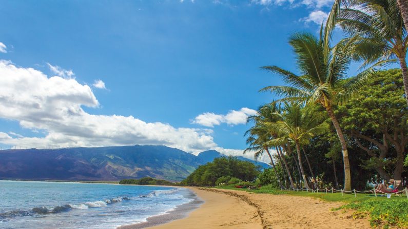 Playa en Hawaii. (Bettina_Nørgaard/Pixabay)